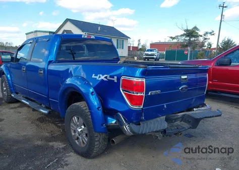 2009 Ford F-150 Fx4/King Ranch/Lariat/Platinum/Xl/Xlt z USA, uszkodzony, nr VIN 1FTPW14V19FA16758